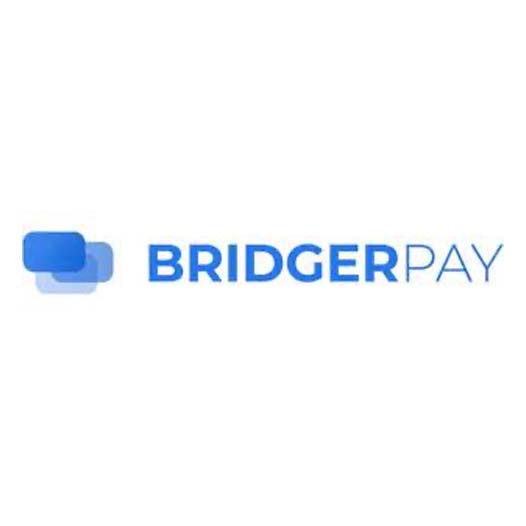 BridgerPay logo