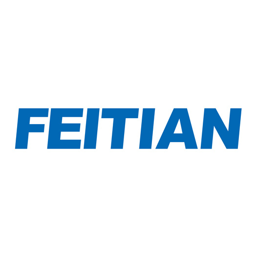 FEITIAN logo